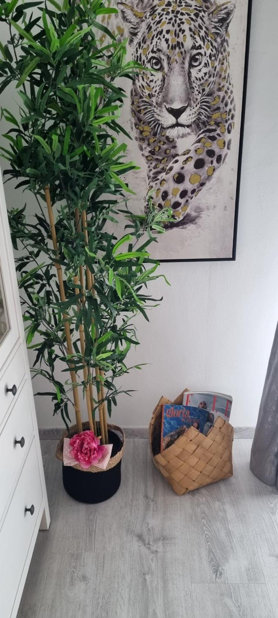 Babylu Apartman ザダル エクステリア 写真