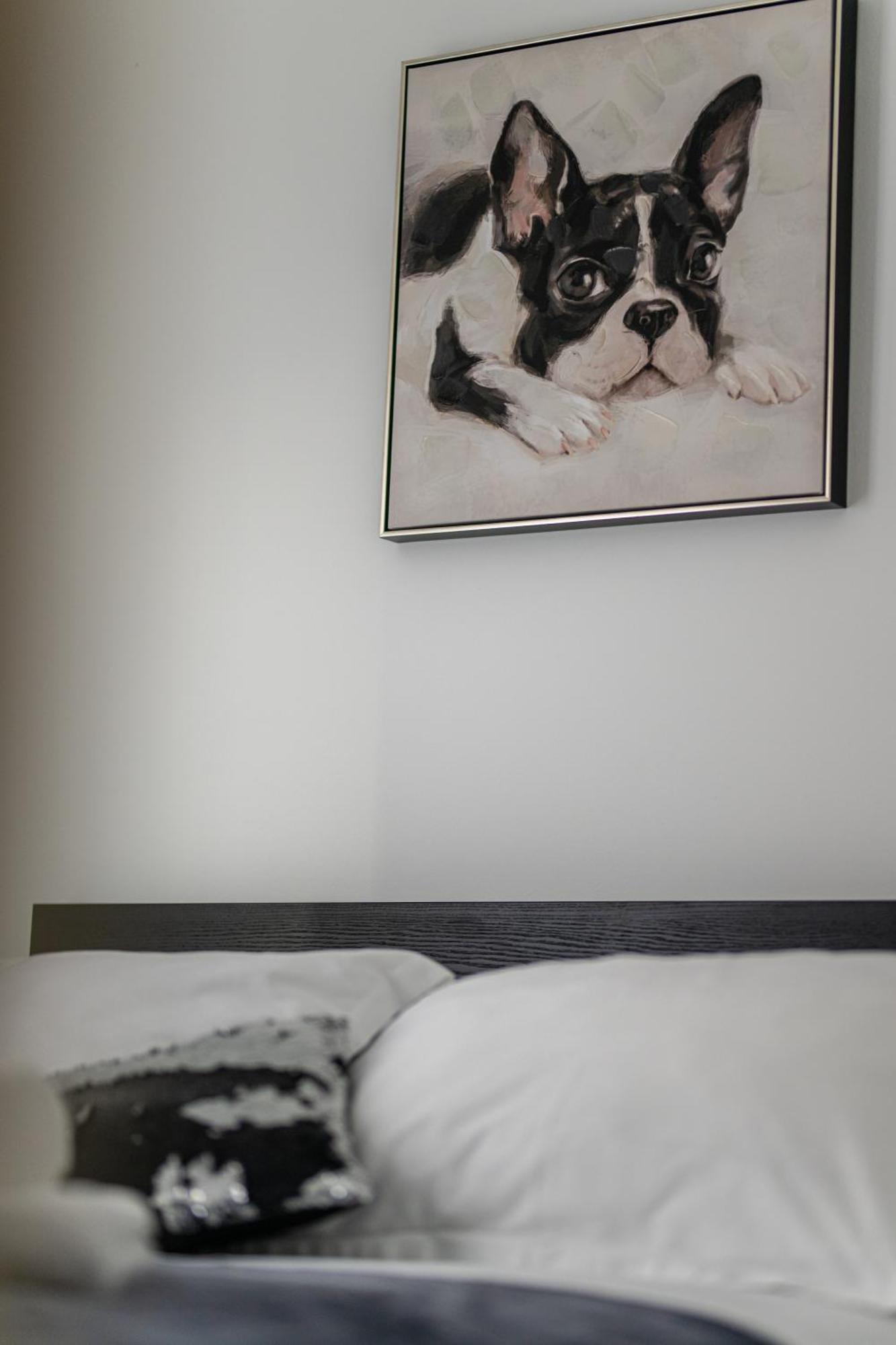Babylu Apartman ザダル エクステリア 写真